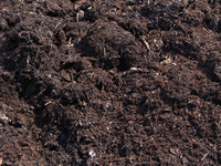 Premium Planting Compost