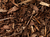 Forest Bark Mulch