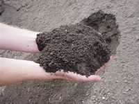 General  Top Soil